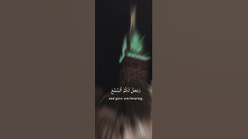 تلاوة قرانيه تريح القلب والنفس من سورة النحل بصوت القارئ الشيخ ماهر الدوسري