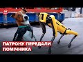 В Україну відправлять сапера-робопеса від Boston Dynamics