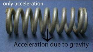 Spring Fling-Physics