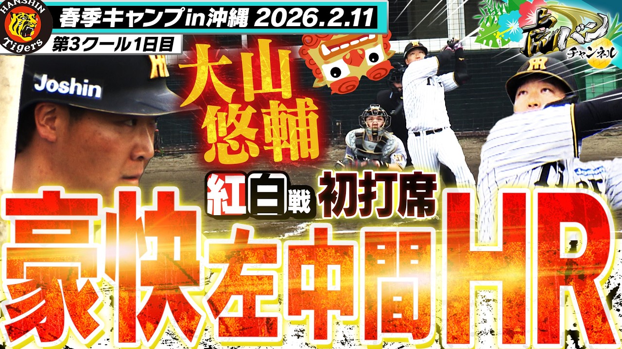【初実戦で豪快大山砲！】今キャンプ初の紅白戦で大山悠輔が曇り空を晴らす豪快な一発！勝利を呼び込む男が今年も絶好調！今年も阪神タイガース密着！応援番組「虎バン」ABCテレビ公式チャンネル