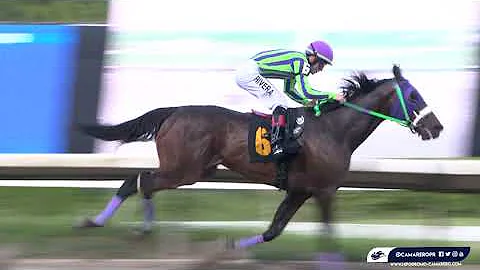 CARRERA 4 - 23/JULIO/2022 ( BOO REID )