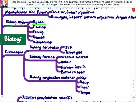 Video: Cecair Septal Ventrikular (VSD) dalam Anjing