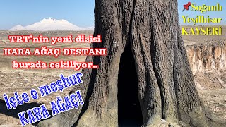 TRT 1 Kara Ağaç Destanı dizisi burada çekiliyor. İşte o ağaç! Soğanlı Vadisi - Yeşilhisar - Kayseri