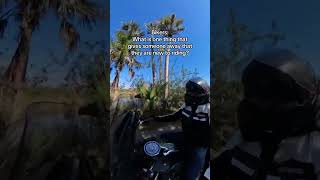 I love the lady rider community  \n\n#womenwhoride #ladyrider #femalerider #womenwhorideharleys