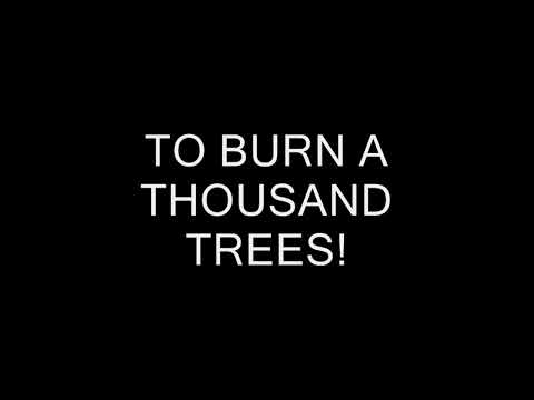 stereophonics-a thousand trees-lyrics