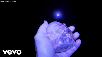 e.willz - evaporate (Official Music Video)