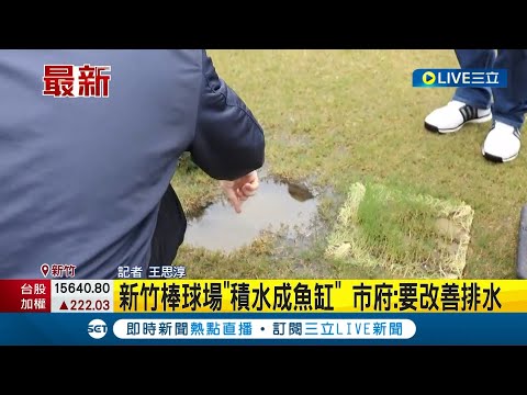 草皮遭開挖! 新竹棒球場"積水成魚缸" 市府承諾:改善排水│記者 王思淳│【LIVE大現場】20230223│三立新聞台