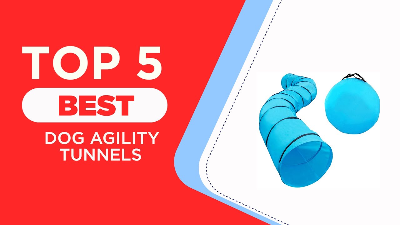 The 5 Best Dog Agility Tunnels of 2024 ( Reviewed ) Best Heavy Duty