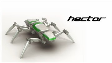 Meet HECTOR: The six-legged walking robot|HD||