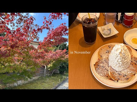 6-day lunch🍴/  Kyoto/ Osaka