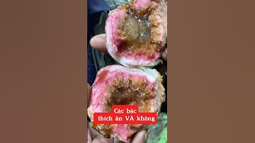 Một ngày ăn mấy quả liền các bác ạ ☎️092.391.6866-0921.826.862  #nhavuonngoclam  #caâynqua