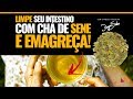 LIMPE SEU INTESTINO COM CHÁ DE SENE E EMAGREÇA. | Dr Dayan Siebra