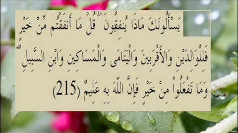 القران الكريم سورة البقرة الاية  215