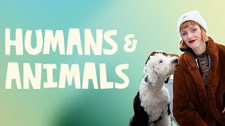 Dog Explores Differences Between Humans and Animals | What About Bunny