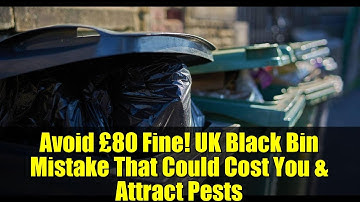 Avoid £80 Fine! UK Black Bin Mistake That Could Cost You & Attract Pests
