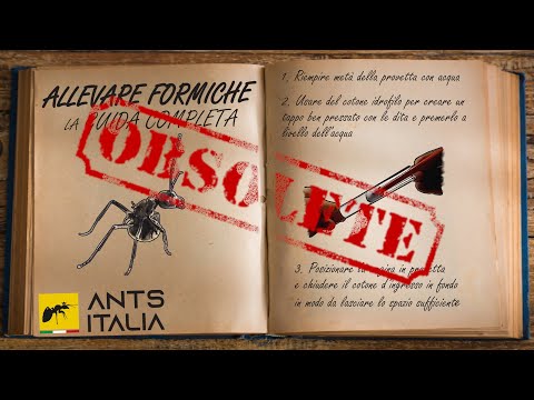 GUIDA COMPLETA ALL&rsquo;ALLEVAMENTO DELLE FORMICHE | Ants Italia (AI)