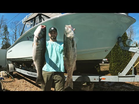 Raritan Bay Striper Fishing - Tips to Catch a Big One!
