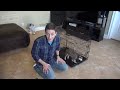 How to Potty Train your Puppy EASILY! Everything you need to know!