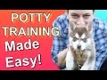 How to Potty Train your Puppy EASILY! Everything you need to know!