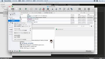 Git入門：ブランチを活用する｜lynda.com 日本版