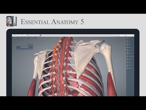 essential anatomy 5 app essential anatomy 5 app
