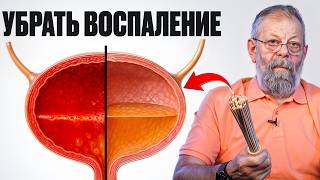 картинка: Почки — объясню почему болеют и покажу как быстро вылечить.