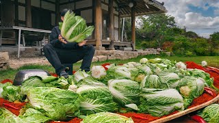 Making Kimchi In A Place That Is Not Common Even In Korea