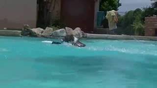 Snap 4 Months Enjoying Swimming