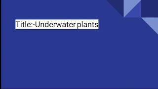 Adaptations in underwater plants-grade4