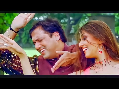 Tu Jo Hans Hans Ke Sanam | Raja Bhaiya | Udit Narayan | Govinda