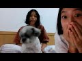qna with my sister and my family dog