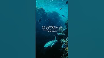 [مَرَجَ الْبَحْرَيْنِ يَلْتَقِيَان ]سورة الرحمن القارئ ياسر الدوسرى #explore #قرآن #قران_كريم #quran
