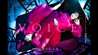 Video thumbnail of "harmoe「VOICE」 [Official Audio]"
