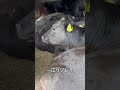 【緊急事態】そしたらまさかの結末が・・・