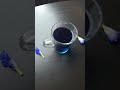 Aesthetic Butterfly Pea Tea ✨ Would you try this? 💜