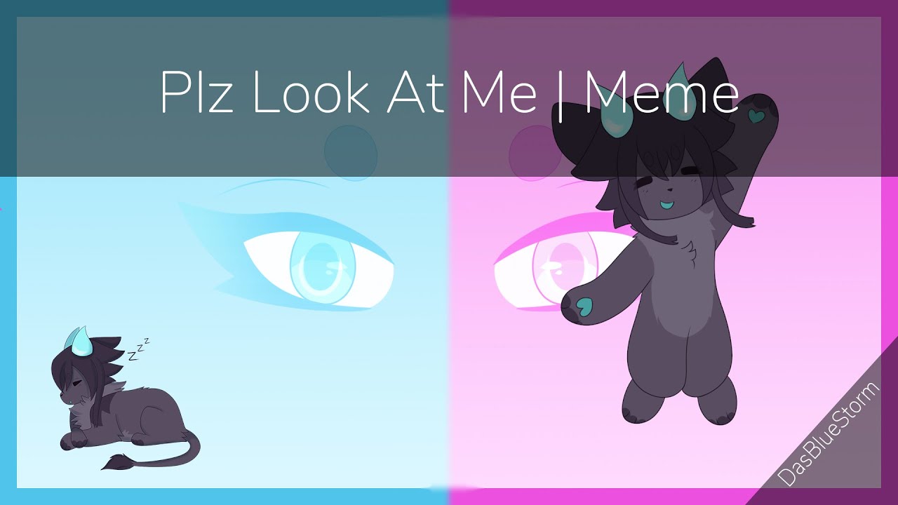Plz Look At Me | ANIMATION MEME - YouTube
