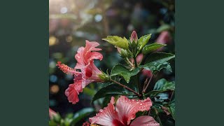 Download Lagu Kecewa sekian kali MP3 Download Lagu Kecewa sekian kali MP3