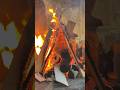 Campfire Tales: Roasting Marshmallows and More ⛺️🔥#camping #fire