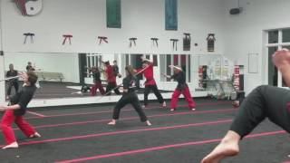 Mannequin Challenge Karate Style