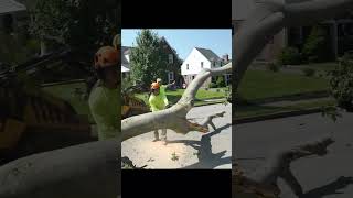 We always strive to provide the best quality work