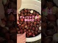 【チューリップの植え付け】今年も球根福袋を購入　ひたすら植えました。