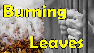 Burning of Leaves is Prohibited! - Smart Daddy
