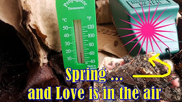 The Worm Tower Composting System - Mid May 18 Update