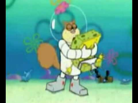 Spongebob Squarepants Someone S In The Kitchen With Sandy Spongebob Squarepants Someone S In The Kitchen With Sandy