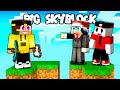 HO CREATO L'ISOLA GIGANTE - BIG SKYBLOCK - MINECRAFT ITA