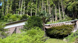 Japanese Countryside Living in AirBnB | UNDER $50 / Night