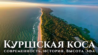 Куршская коса — гордость Калининградской области: высота Эфа, история. Куршская коса с воздуха 2021