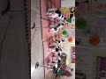 Republic Day Celebration in CD International School Maruti Kunj