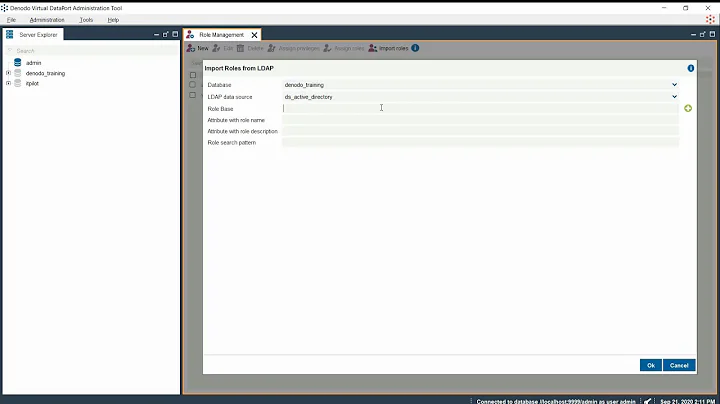 Importing LDAP roles in Virtual DataPort