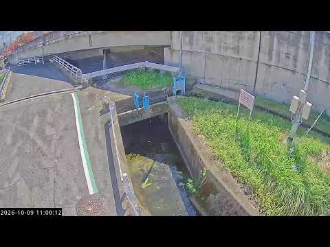香芝市 竹田川 のライブ映像